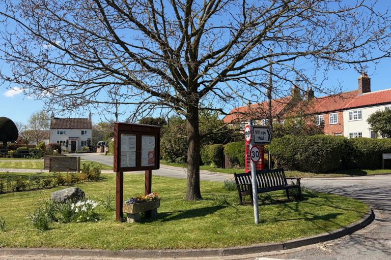 A view of a tree in Thornton le Beans