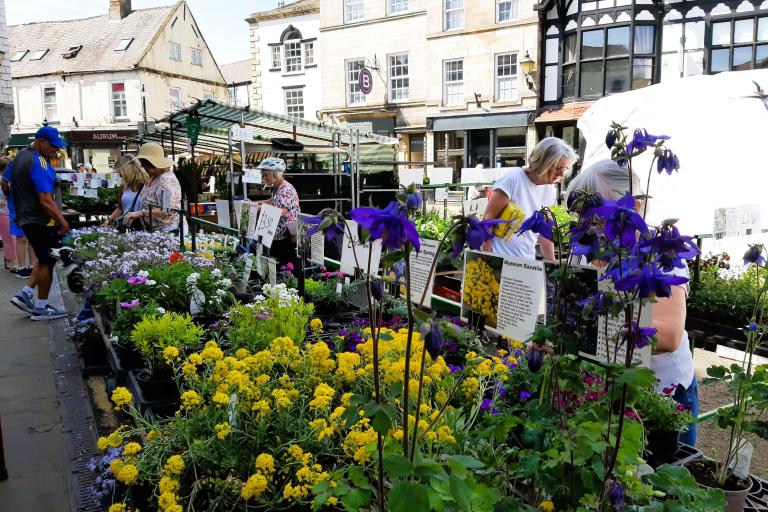 Market plants