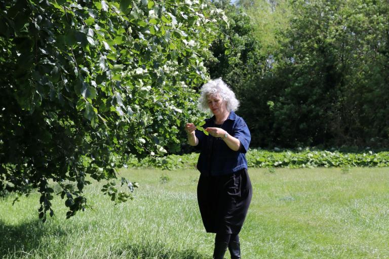 North Yorkshire Council’s tree and woodland manager, Helen Arnold, in an area of public woodland in the village of Masham. 