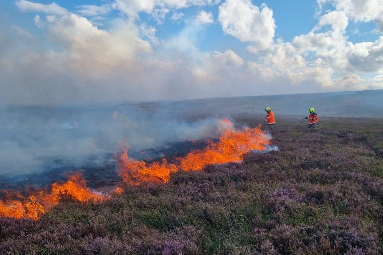 Image of a wildfire burning. 
