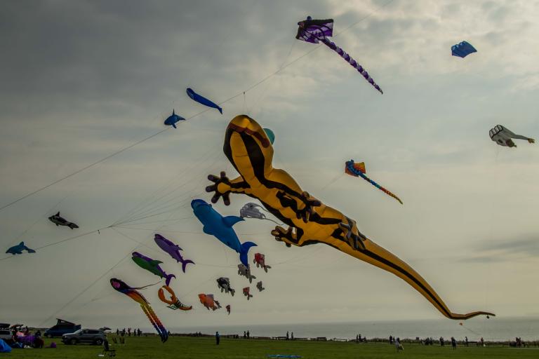 Kites at Filey Kite Festival