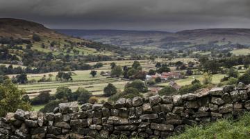 A view of Ryedale with stone wall and small group of houses