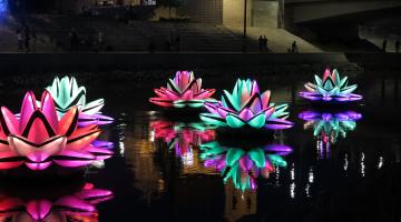 An artwork called Lilies which will be on show as part of the Winter Lights Trail in Peasholm Park for the Scarborough Lights festival. (Photo credit: Koros Design.)