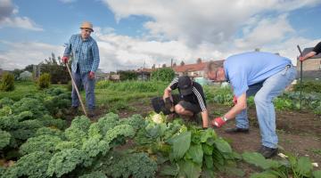 Participants in the Land to Plate scheme working on the allotment.