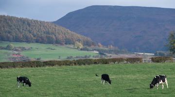 A view of rural North Yorkshire near Northallerton. 