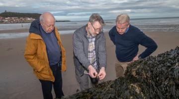 Looking at seaweed samples in Scarborough South Bay