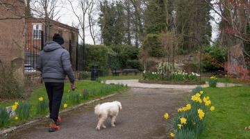 A dog walker passes through Temple Gardens in Ripon which has been overhauled thanks to a community partnership involving North Yorkshire Council.