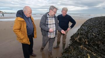 Seaweed sampling in Scarborough South Bay