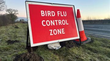 Avian flu sign in North Yorkshire