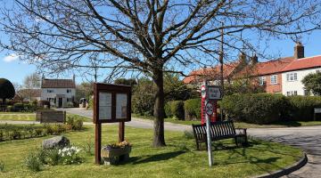 A view of a tree in Thornton le Beans