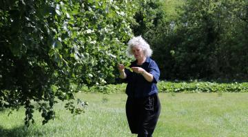 North Yorkshire Council’s tree and woodland manager, Helen Arnold, in an area of public woodland in the village of Masham. 