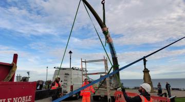 Whitby whale bones being removed