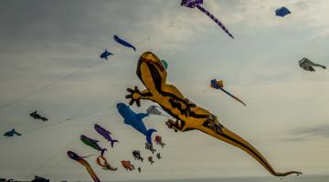 Kites at Filey Kite Festival