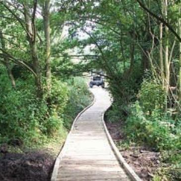 Pathway at Ingle Wood