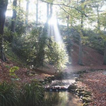 Peasholm Glen