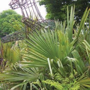 Valley gardens