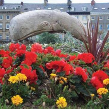 Whale sculpture and flowers