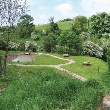 Calla Beck walk with pond and benches near footpath