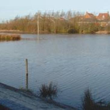 Filey dam nature reserve