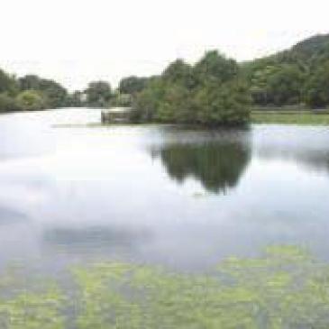 The Mere lake in Mere country park