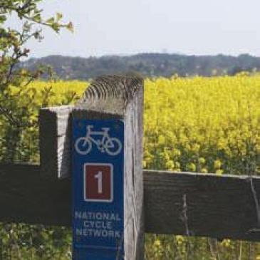 Cycle path sign on fence post near field of flower