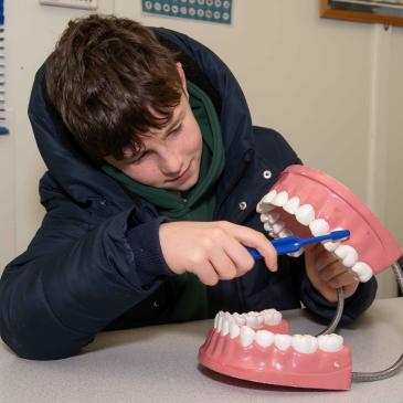 A pupil from Ingleby Greenhow Church of England Primary School learns how to brush teeth properly. 