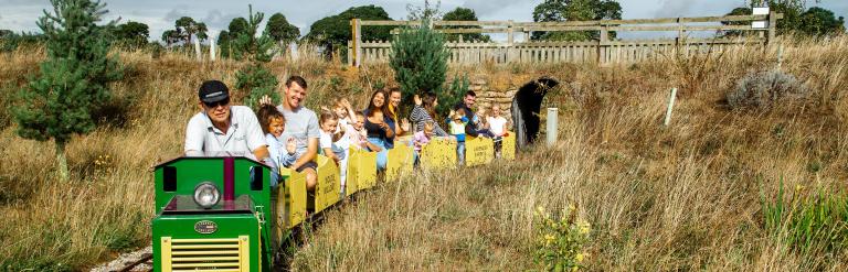 A train at Woldie’s Lavender and Nature farm