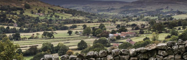 A view of Ryedale with stone wall and small group of houses