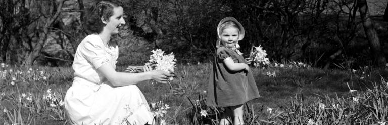 A mother and a young child among the wild daffodils in Farndale (undated). From the Bertram Unné photographic collection.