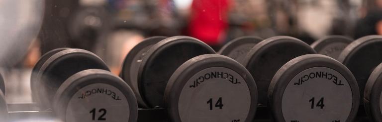 Various different weights of dumbbells, in the background some people can be seen exercising.
