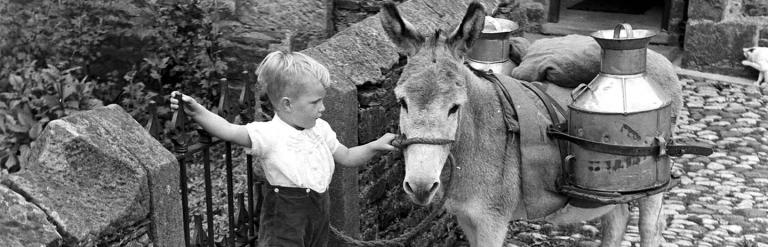 Milk delivery in and around Castle Bolton in Wensleydale! This valuable service was provided by Walter Bostock & Jimmy the donkey in the 1950s and 60s! From the Bertram Unné photographic collection.