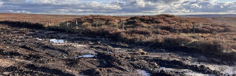 After the wildfire in 2025 at Sneaton Low Moor